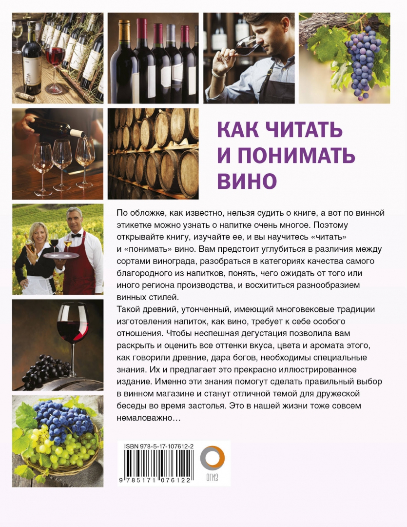 Иллюстрация 1 из 10 для Как читать и понимать вино - Марк Шпаковский | Лабиринт - книги. Источник: Лабиринт