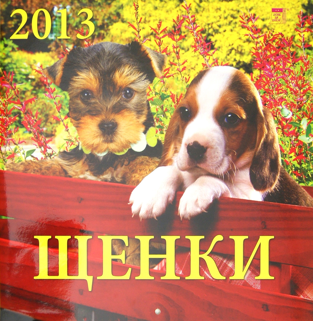 Иллюстрация 2 из 2 для Календарь 2013 "Щенки" (70306) | Лабиринт - сувениры. Источник: Лабиринт