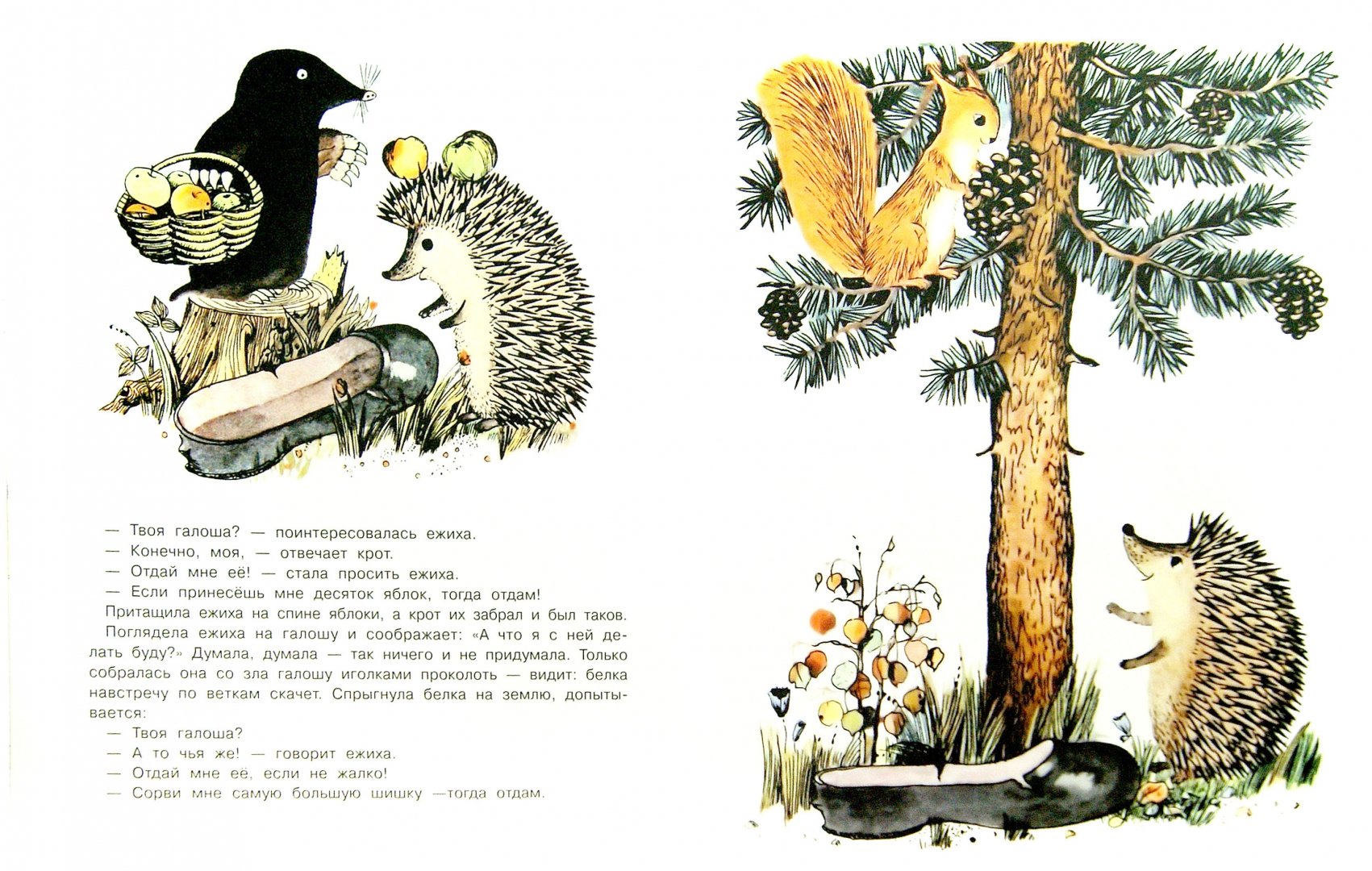 Иллюстрация 1 из 50 для Галоша - Михаил Пляцковский | Лабиринт - книги. Источник: Лабиринт