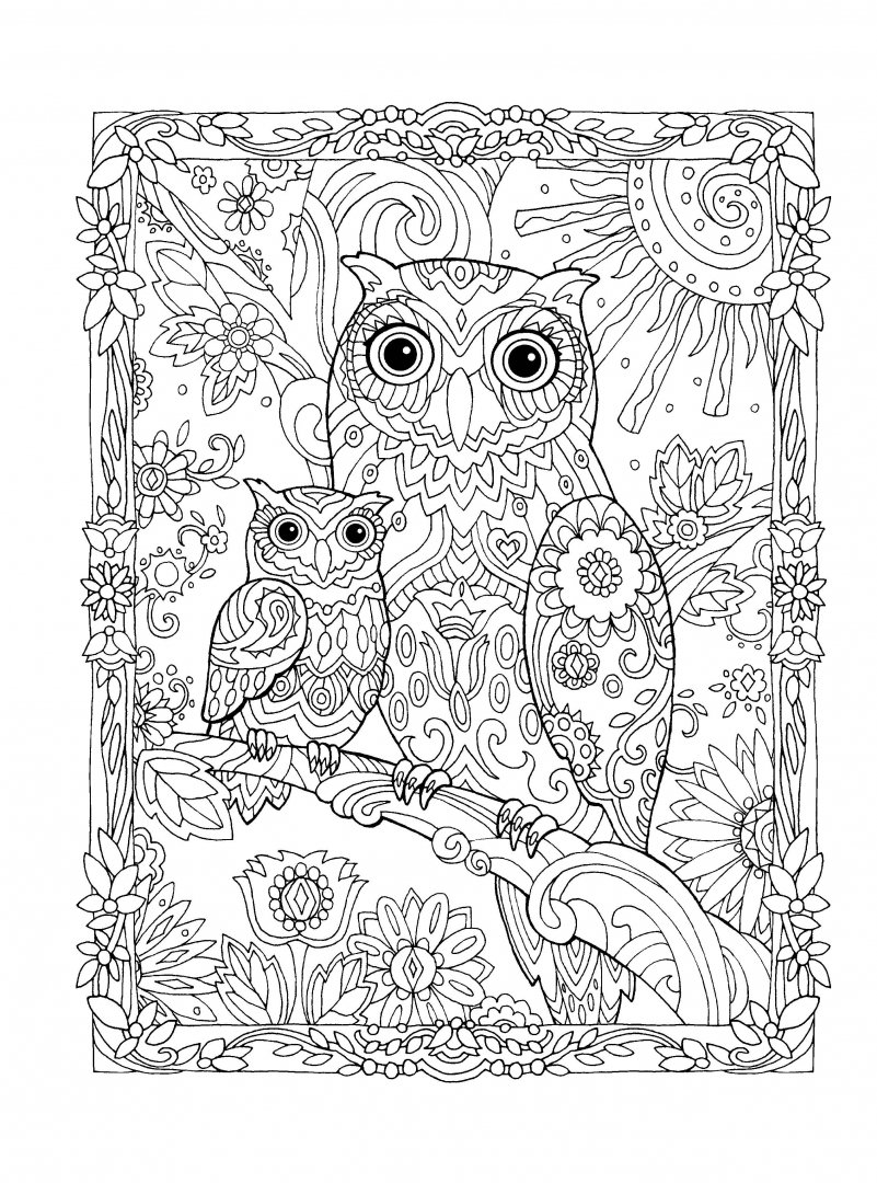 Иллюстрация 4 из 45 для Совушки - Marjorie Sarnat | Лабиринт - книги. Источник: Лабиринт