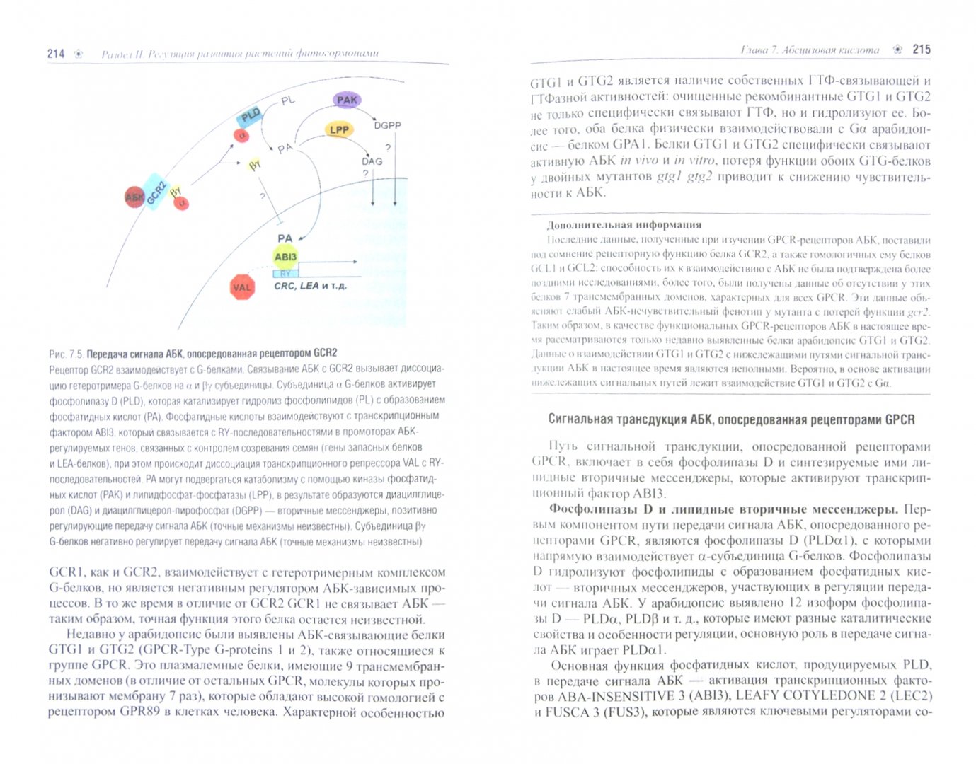 Иллюстрация 1 из 9 для Генетика развития растений. Учебник +CD - Лутова, Ежова, Додуева, Осипова | Лабиринт - книги. Источник: Лабиринт