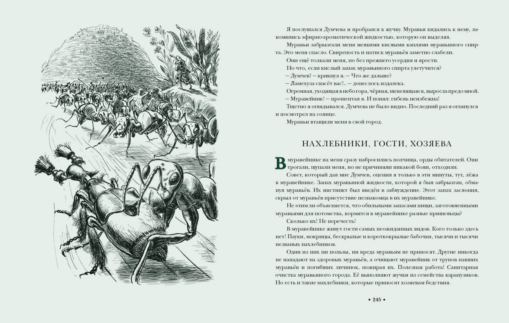 Иллюстрация 12 из 44 для В Стране Дремучих Трав - Владимир Брагин | Лабиринт - книги. Источник: Лабиринт