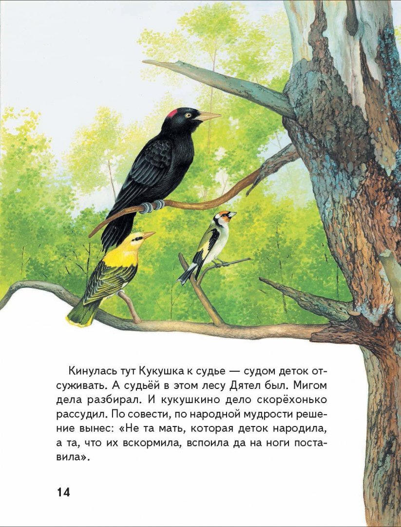 Иллюстрация 14 из 39 для Сказки из леса | Лабиринт - книги. Источник: Лабиринт