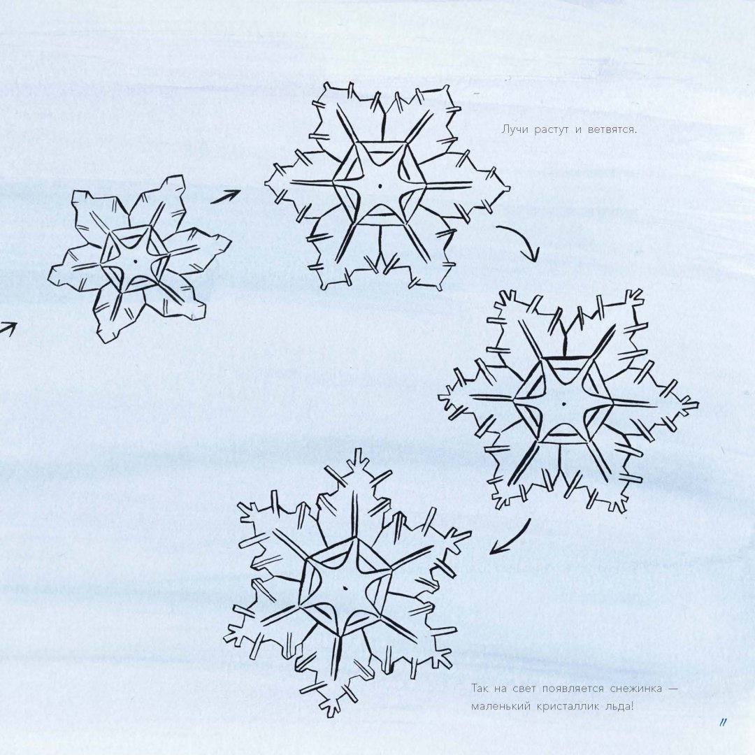 Иллюстрация 6 из 62 для Снег. Зимнее чудо - Кассино, Нельсон | Лабиринт - книги. Источник: Лабиринт