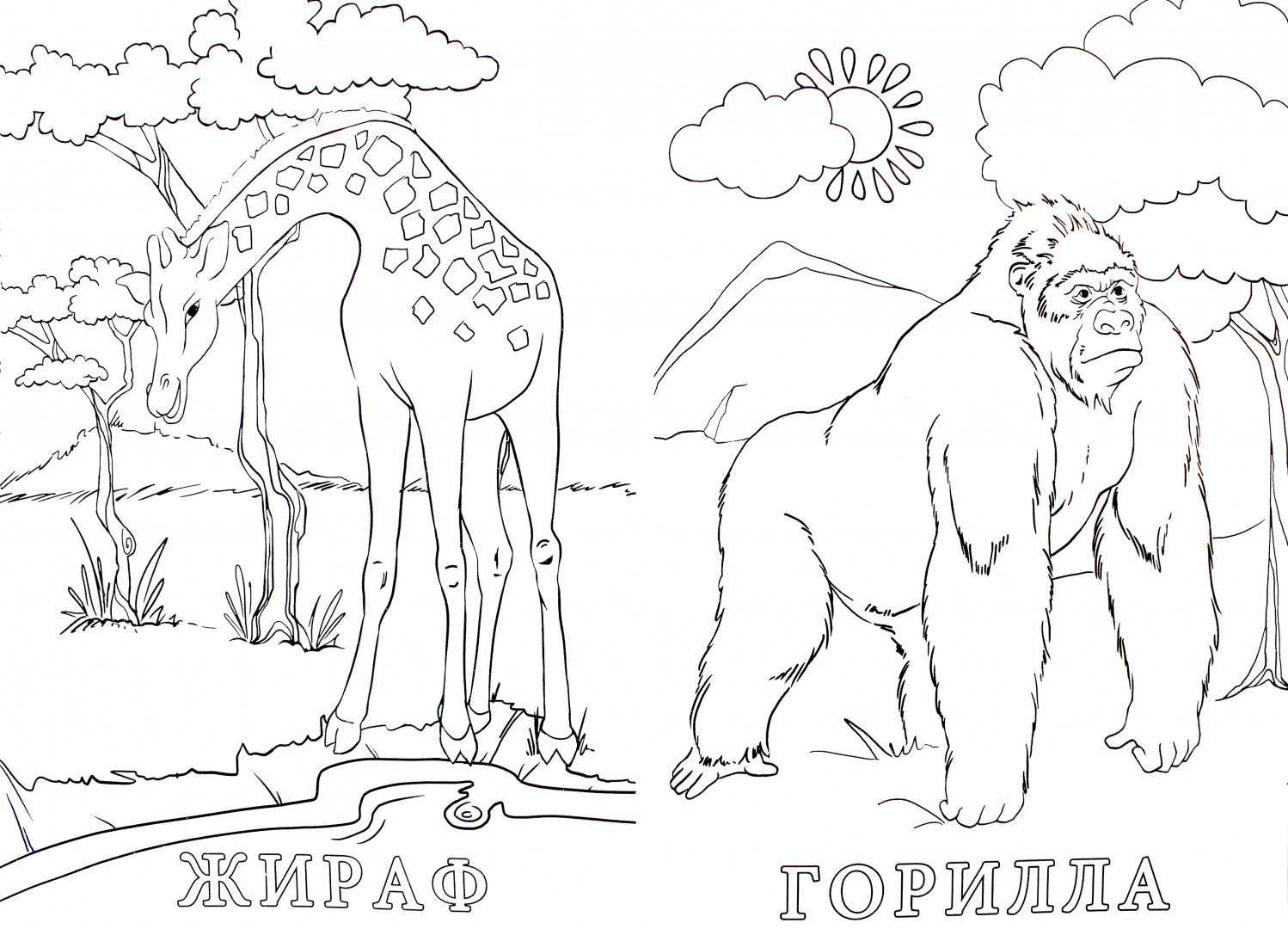 Иллюстрация 1 из 20 для Раскраска "Зоопарк" (41393) | Лабиринт - книги. Источник: Лабиринт