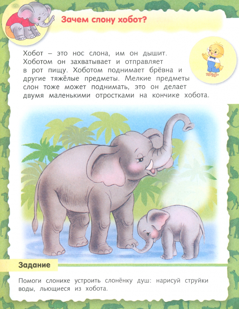 Иллюстрация 2 из 50 для О животных - Марина Султанова | Лабиринт - книги. Источник: Лабиринт