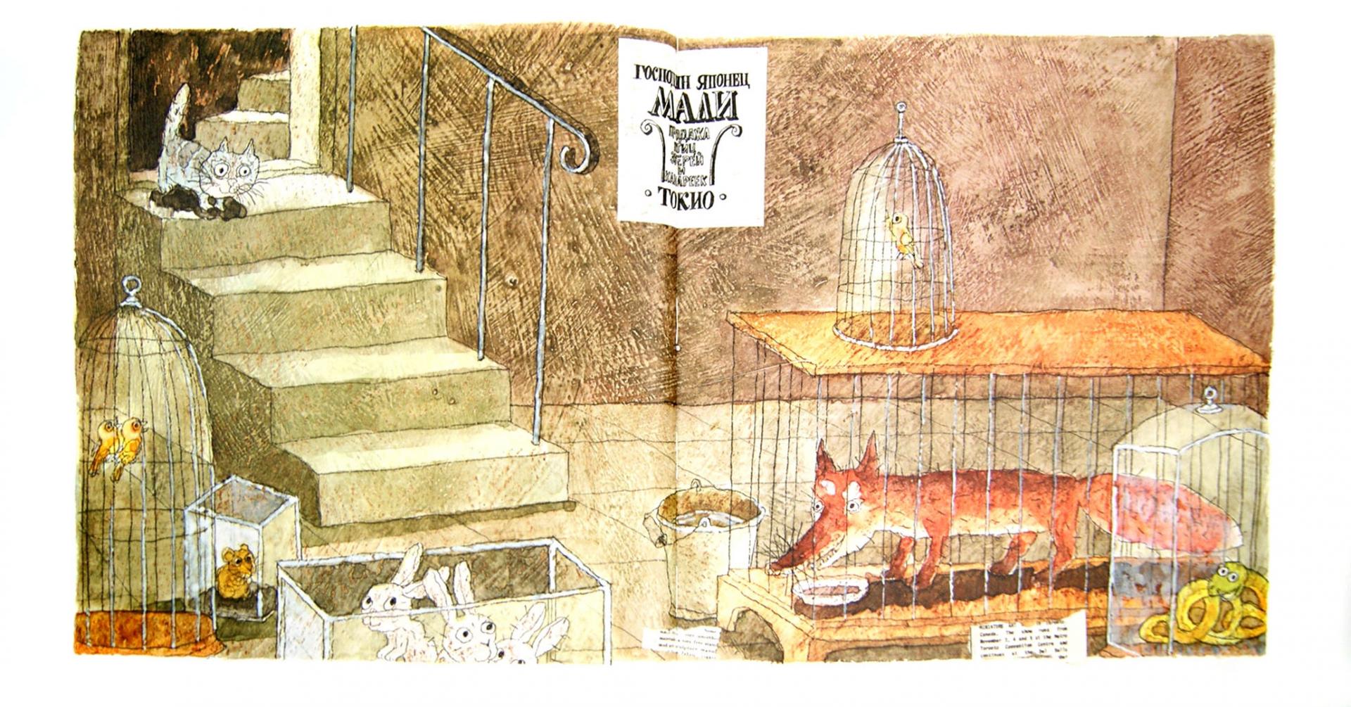Иллюстрация 1 из 37 для Шамайка - королева кошек - Юрий Коваль | Лабиринт - книги. Источник: Лабиринт