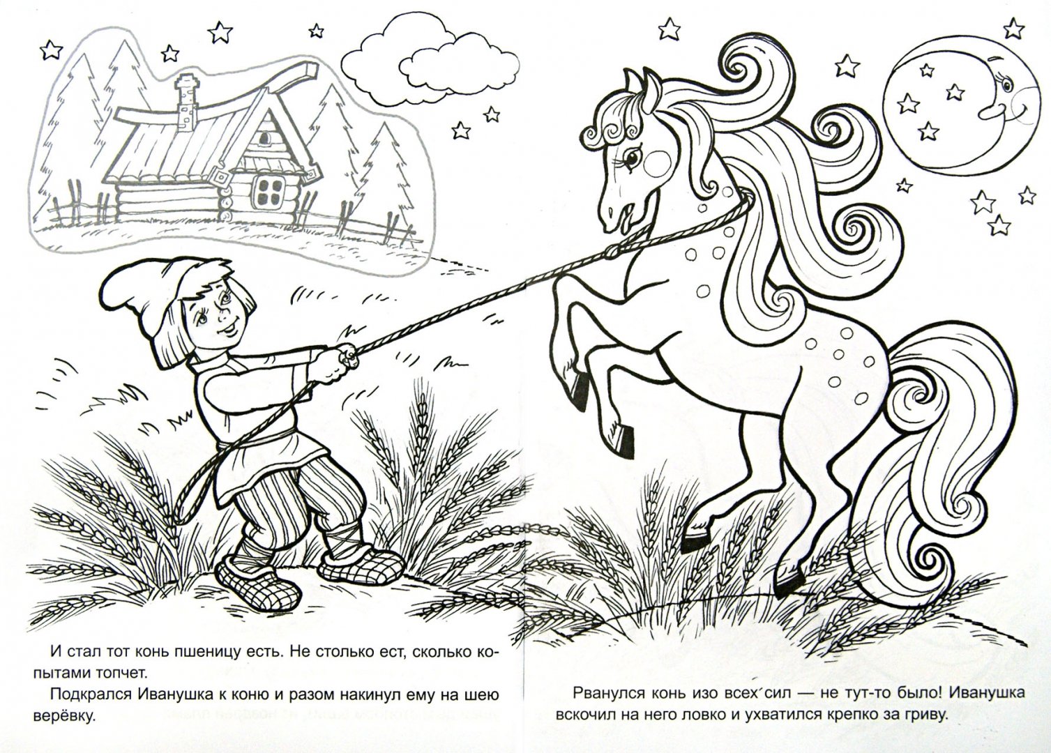 Иллюстрация 1 из 19 для Сивка-бурка | Лабиринт - книги. Источник: Лабиринт