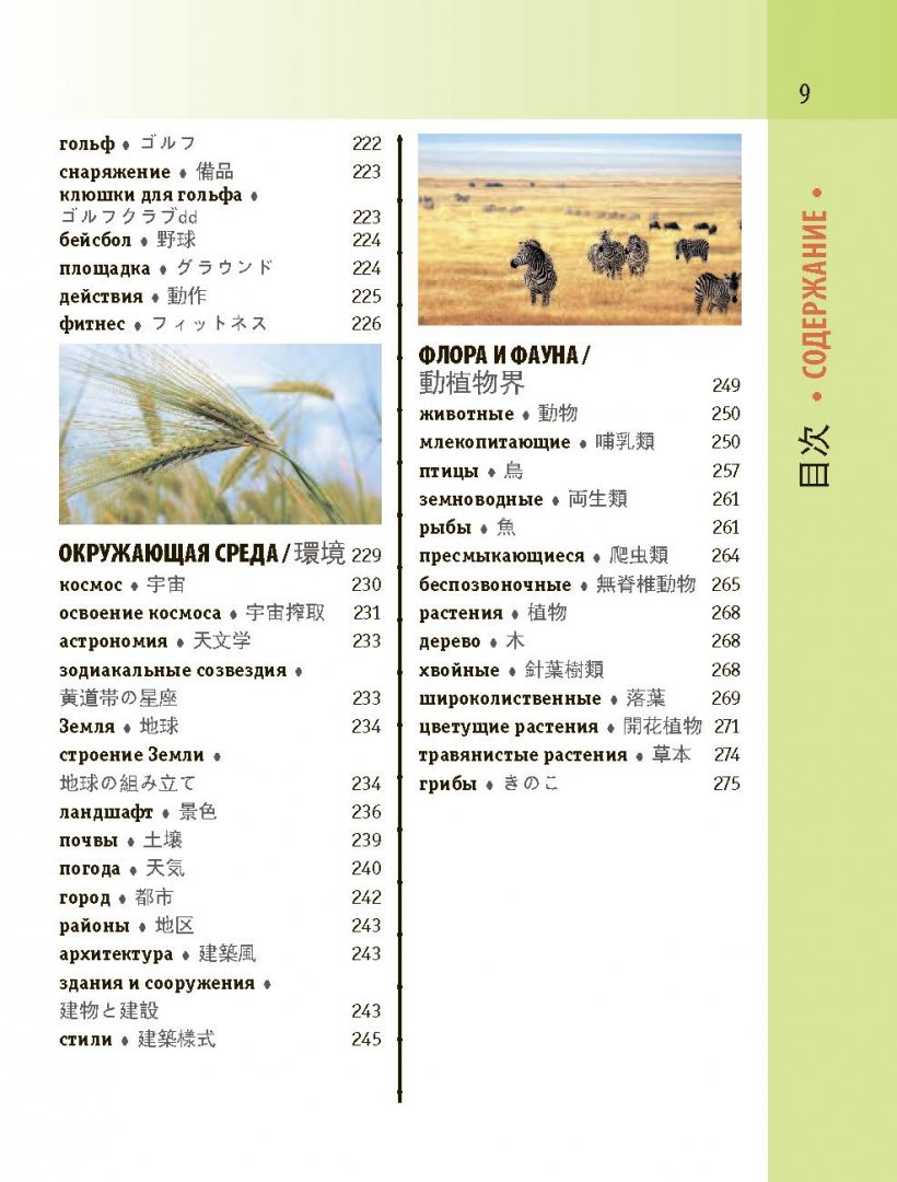 Иллюстрация 4 из 10 для Японско-русский визуальный словарь с транскрипцией | Лабиринт - книги. Источник: Лабиринт