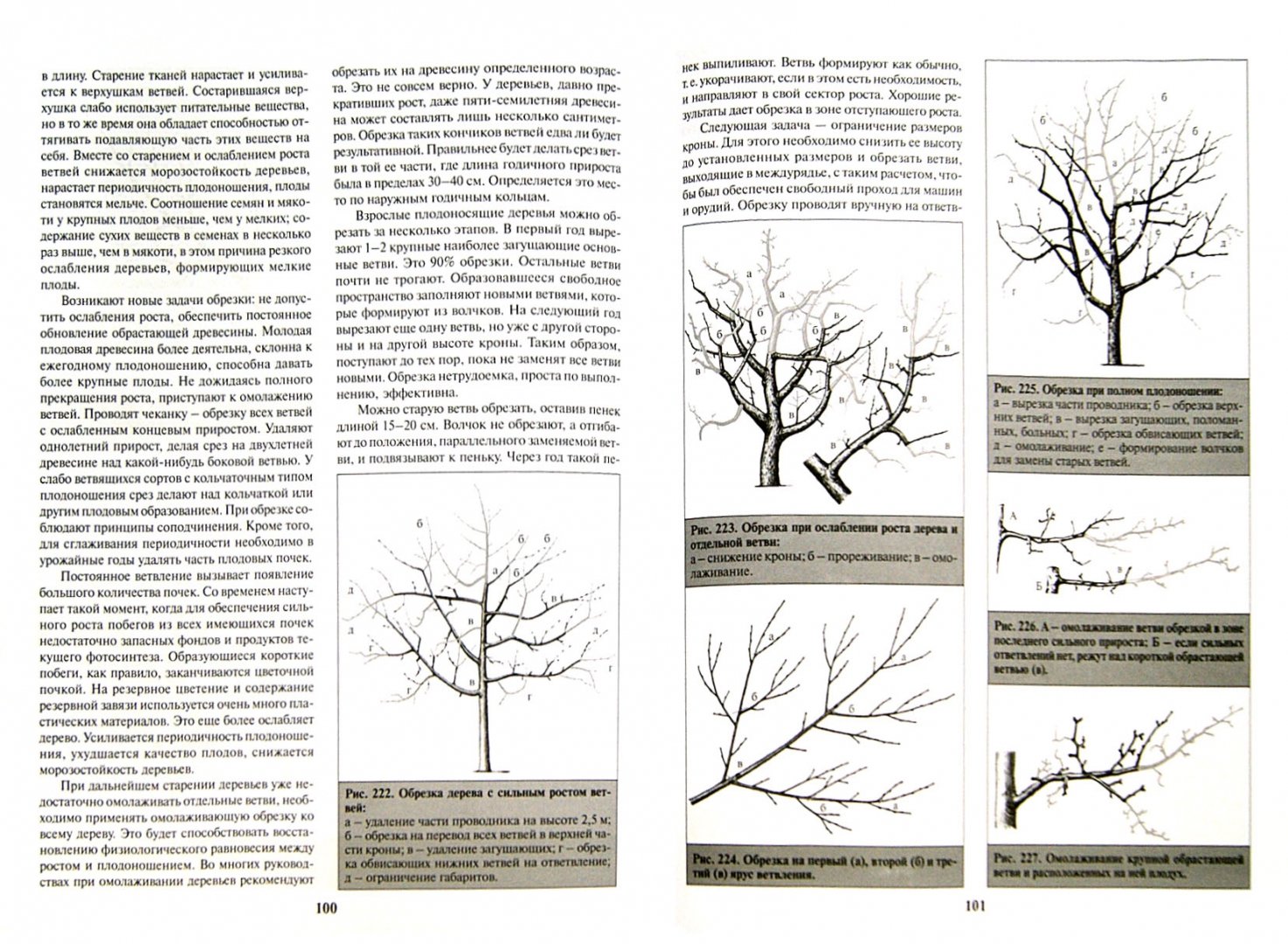 Иллюстрация 1 из 7 для Формирование и обрезка садовых деревьев - Роман Кудрявец | Лабиринт - книги. Источник: Лабиринт
