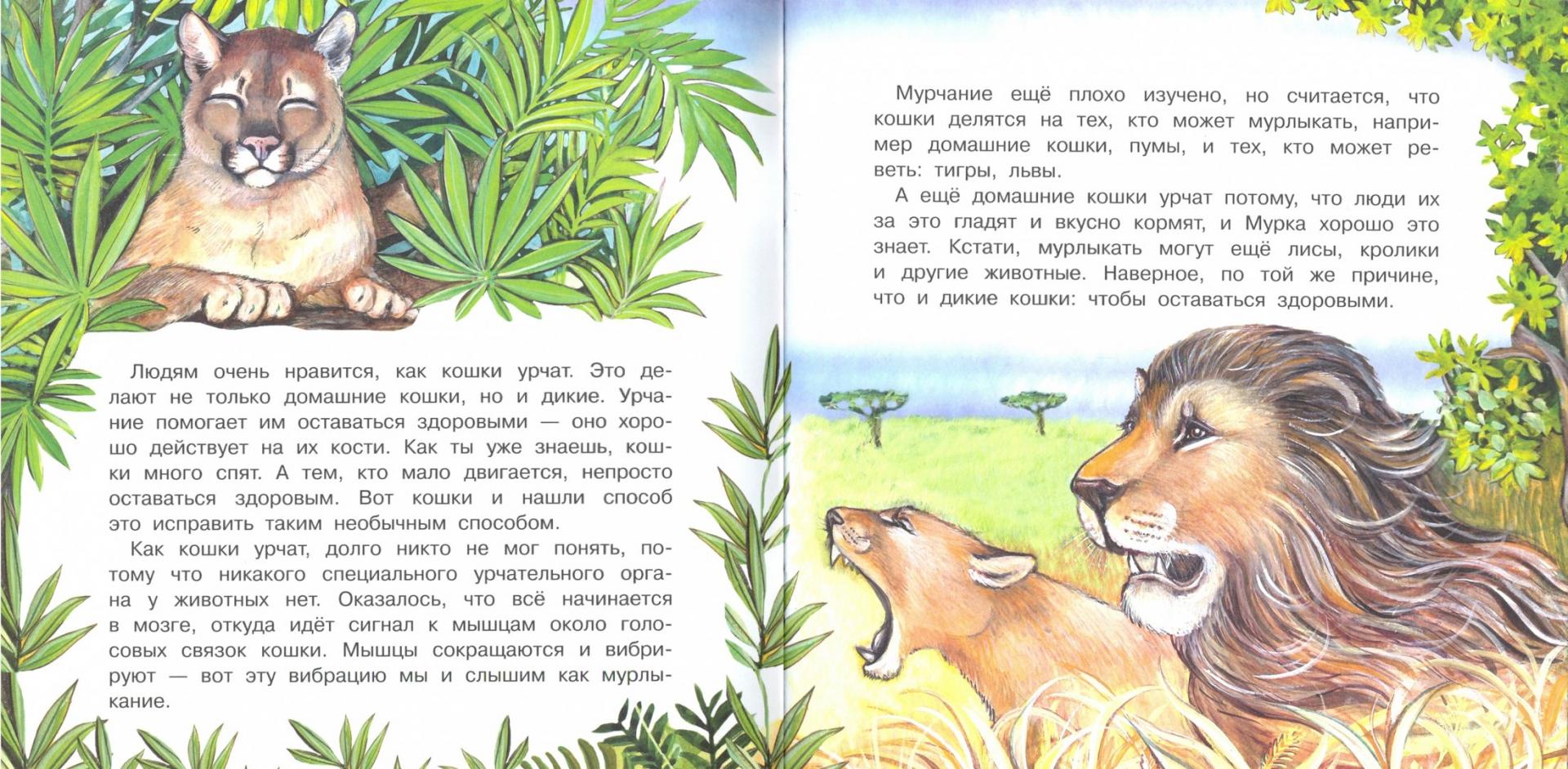 Иллюстрация 3 из 17 для Большая кошачья семья - Юлия Смирнова | Лабиринт - книги. Источник: Лабиринт