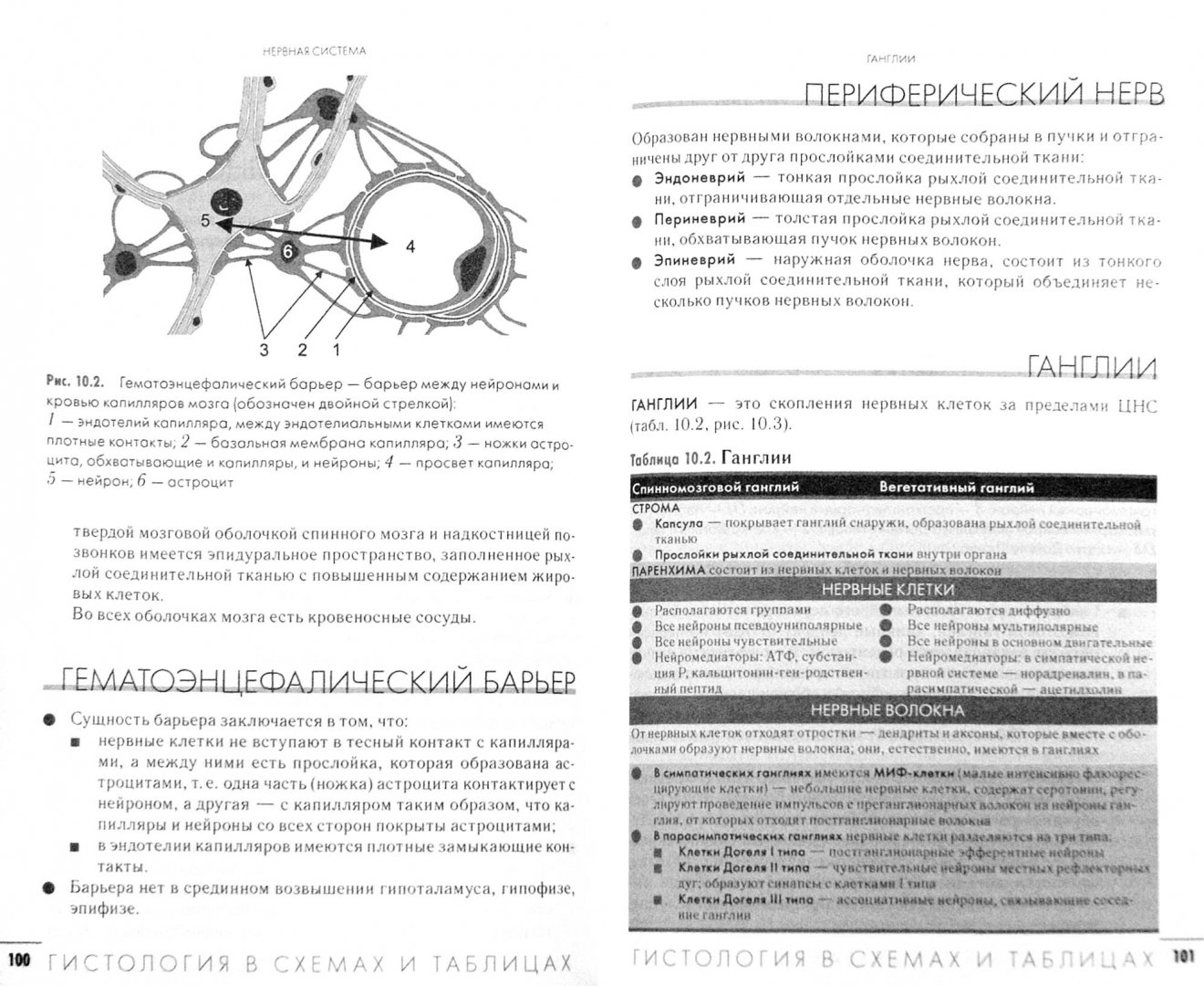 Иллюстрация 1 из 6 для Гистология в схемах и таблицах. Учебное пособие - Андрей Гунин | Лабиринт - книги. Источник: Лабиринт