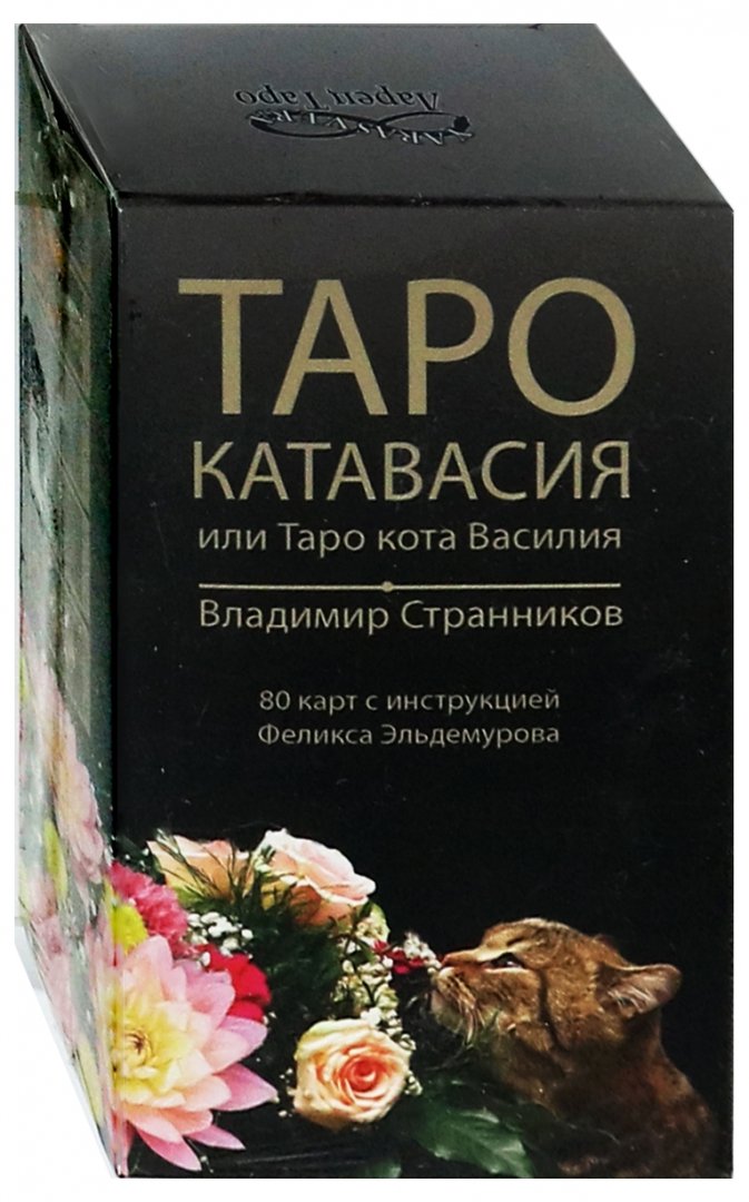 Иллюстрация 1 из 25 для Таро Катавасия, или Таро кота Василия - Владимир Странников | Лабиринт - книги. Источник: Лабиринт