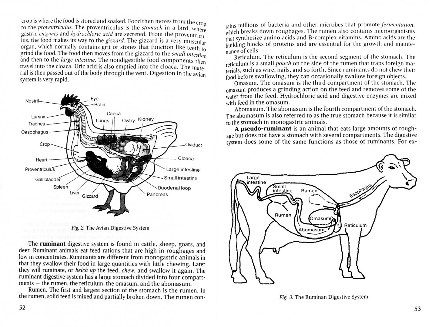 Иллюстрация 1 из 4 для Veterinary Science: The First Steps. Учебное-методическое пособие по английскому языку - Барляева, Кайдалова | Лабиринт - книги. Источник: Лабиринт