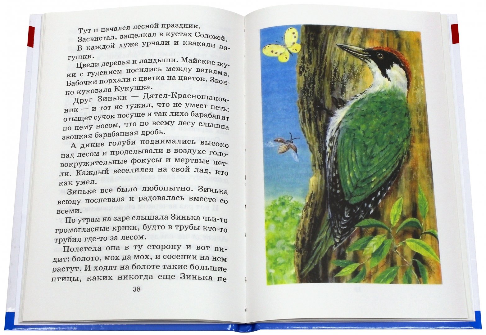 Иллюстрация 2 из 29 для Синичкин календарь - Виталий Бианки | Лабиринт - книги. Источник: Лабиринт
