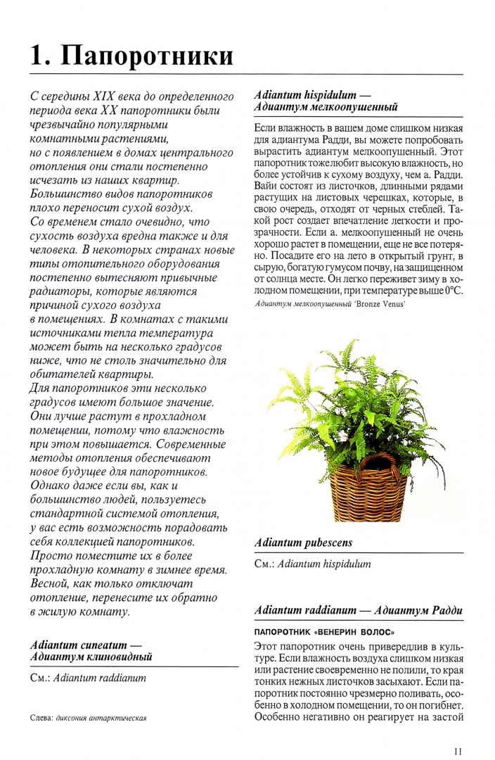 Иллюстрация 4 из 48 для Комнатные растения - Нико Вермейлен | Лабиринт - книги. Источник: Лабиринт