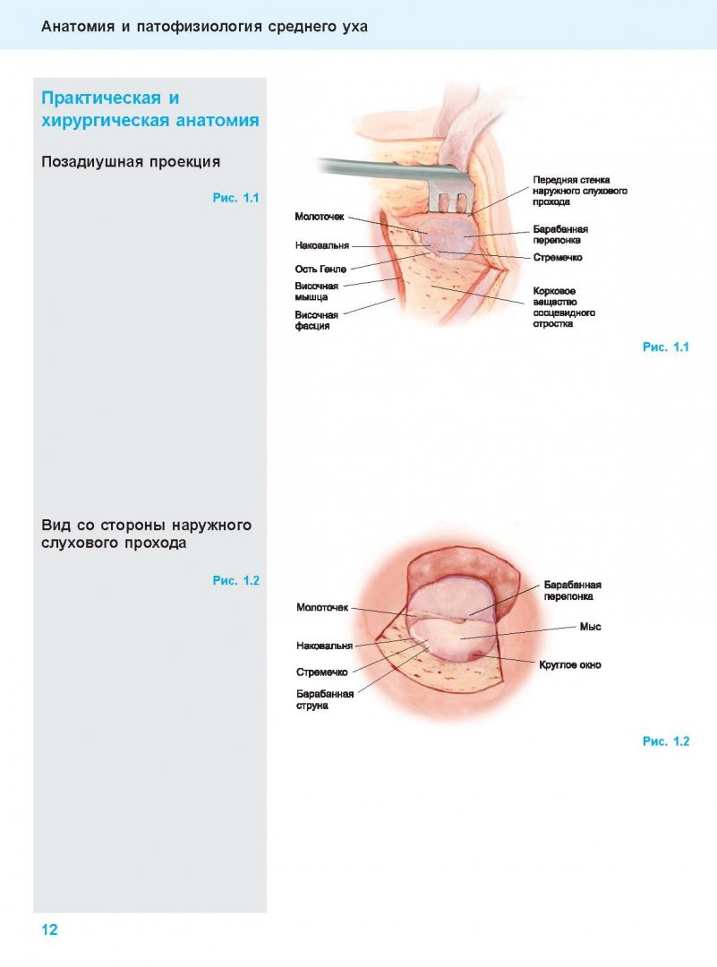 Иллюстрация 9 из 18 для Хирургия среднего уха. Атлас - Герсдорф, Жерар | Лабиринт - книги. Источник: Лабиринт