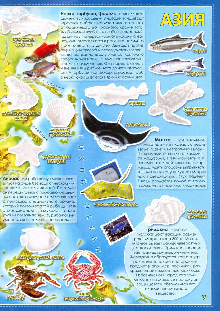 Иллюстрация 2 из 22 для Обитатели рек, морей и океанов. Атлас мира с наклейками | Лабиринт - книги. Источник: Лабиринт