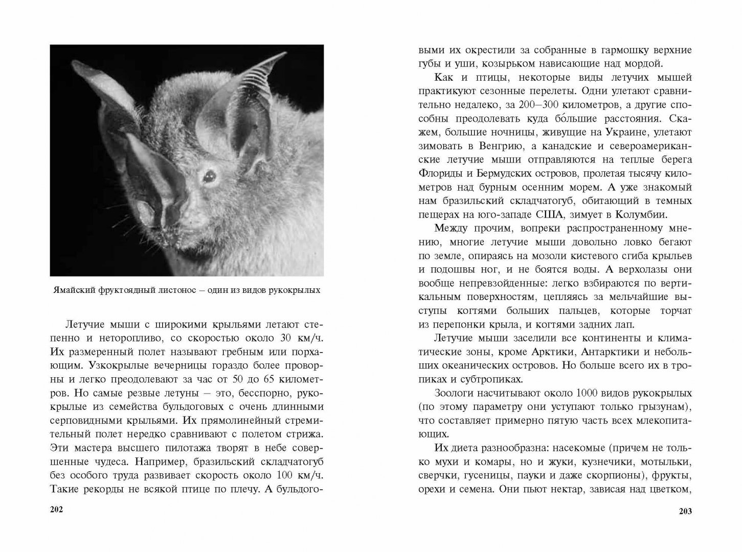 Иллюстрация 3 из 26 для Удивительная зоология - Вадим Левитин | Лабиринт - книги. Источник: Лабиринт