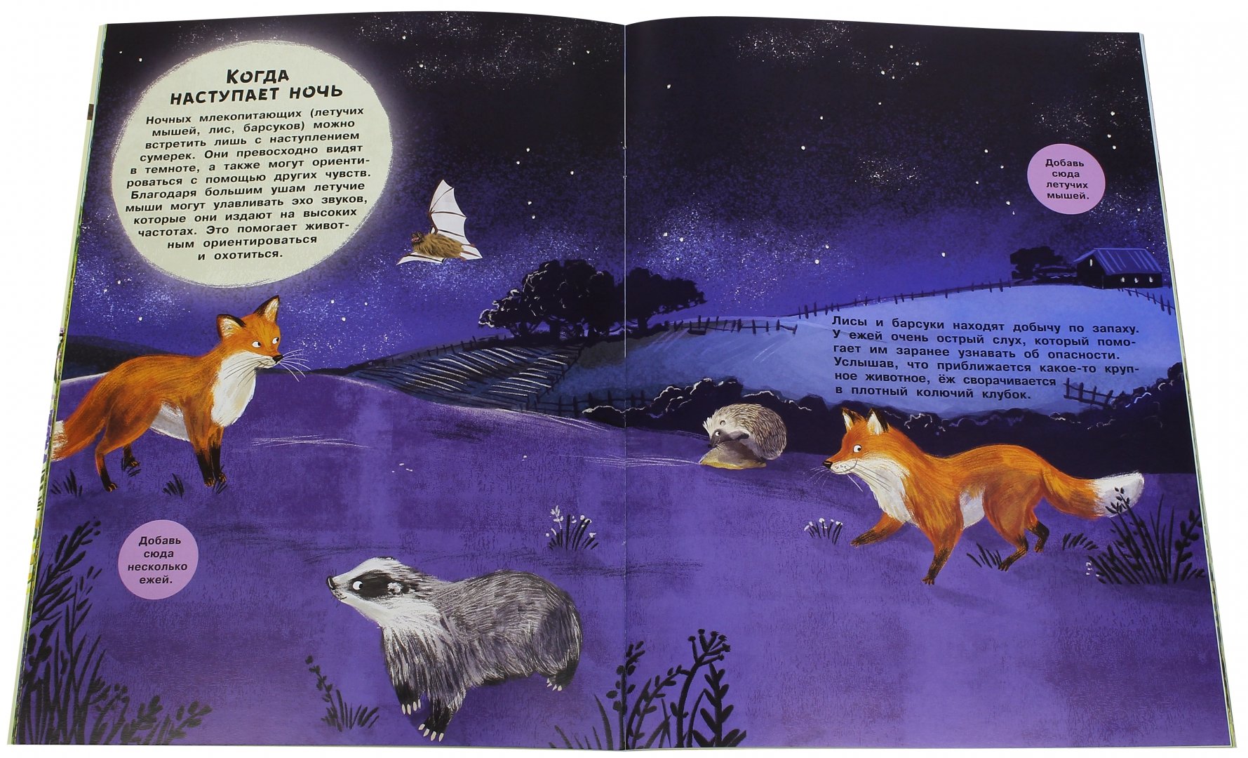 Иллюстрация 1 из 48 для Заяц, ёжик, крот и прочий звериный народ | Лабиринт - книги. Источник: Лабиринт