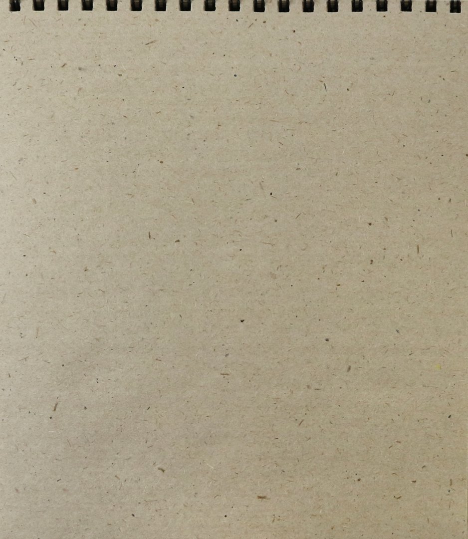 Иллюстрация 1 из 6 для Скетчпад "Еноты" (40 листов, 168х195 мм, крафт-бумага, гребень) (49091) | Лабиринт - канцтовы. Источник: Лабиринт
