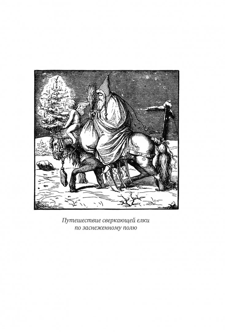 Иллюстрация 4 из 8 для История рождественской елки - Бернд Бруннер | Лабиринт - книги. Источник: Лабиринт