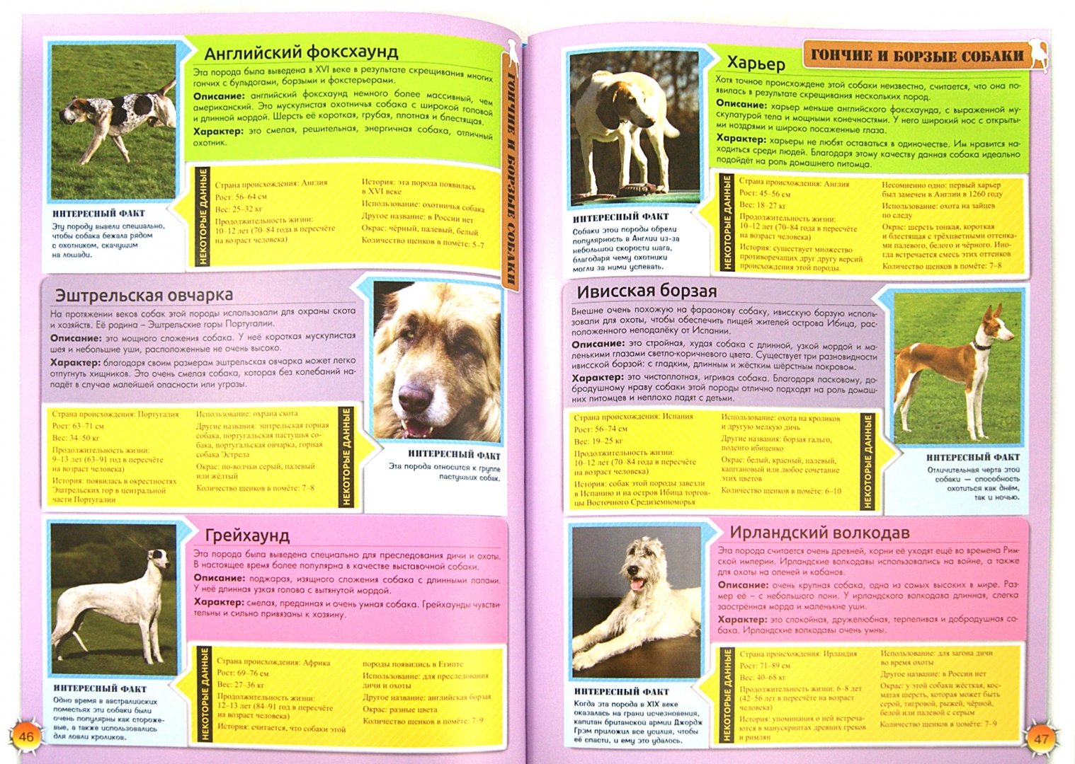 Иллюстрация 1 из 9 для Энциклопедия о собаках. Все о собаках | Лабиринт - книги. Источник: Лабиринт