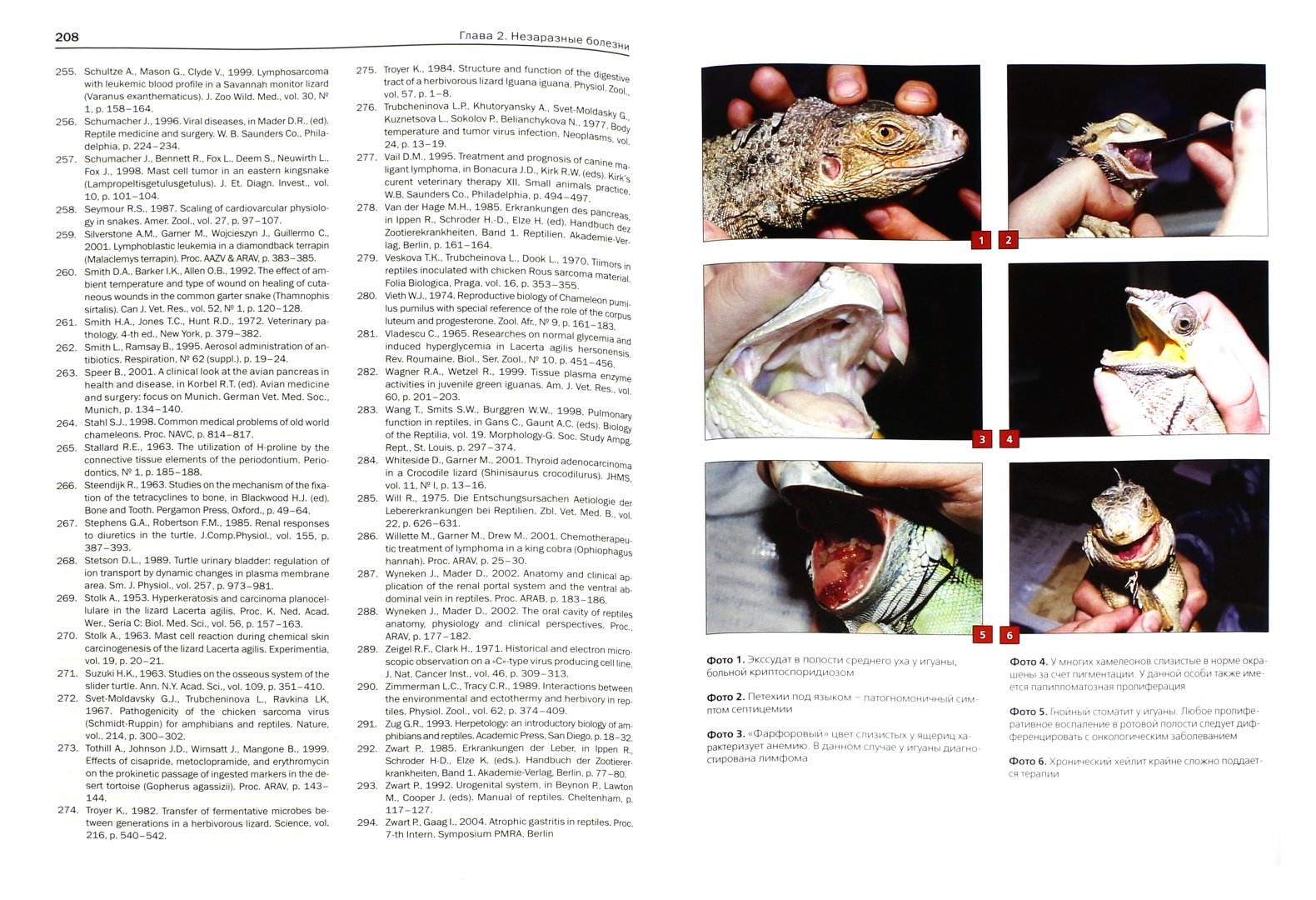 Иллюстрация 1 из 21 для Ветеринарная герпетология - Дмитрий Васильев | Лабиринт - книги. Источник: Лабиринт