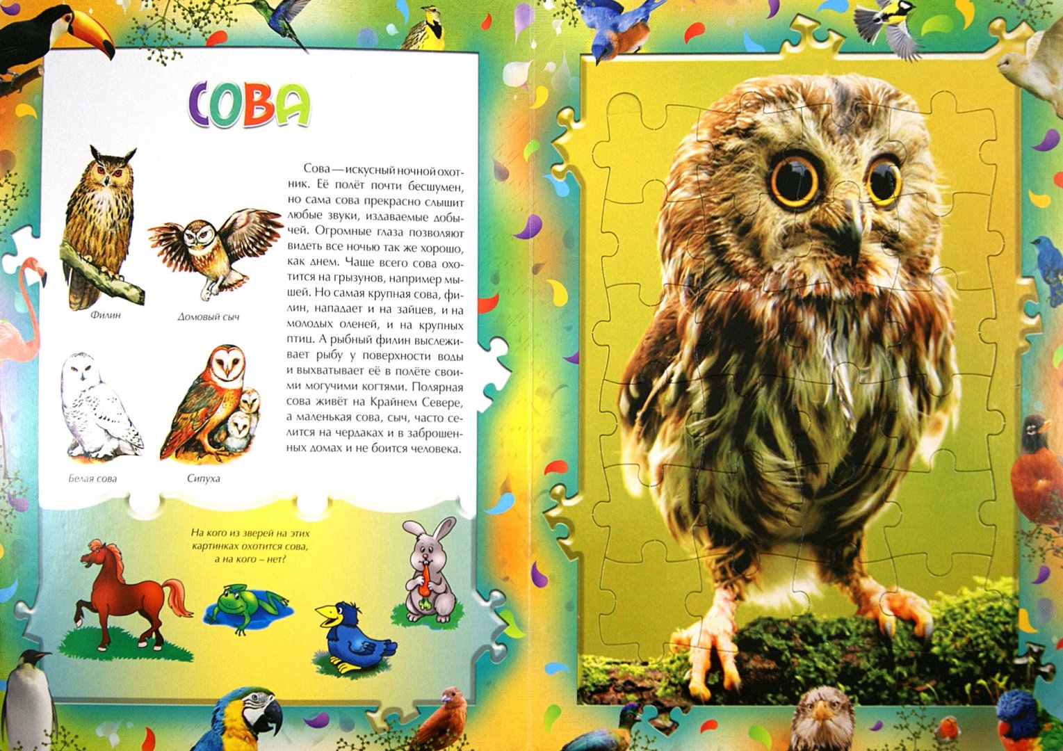 Иллюстрация 1 из 3 для Птицы. Книга с пазлами | Лабиринт - игрушки. Источник: Лабиринт