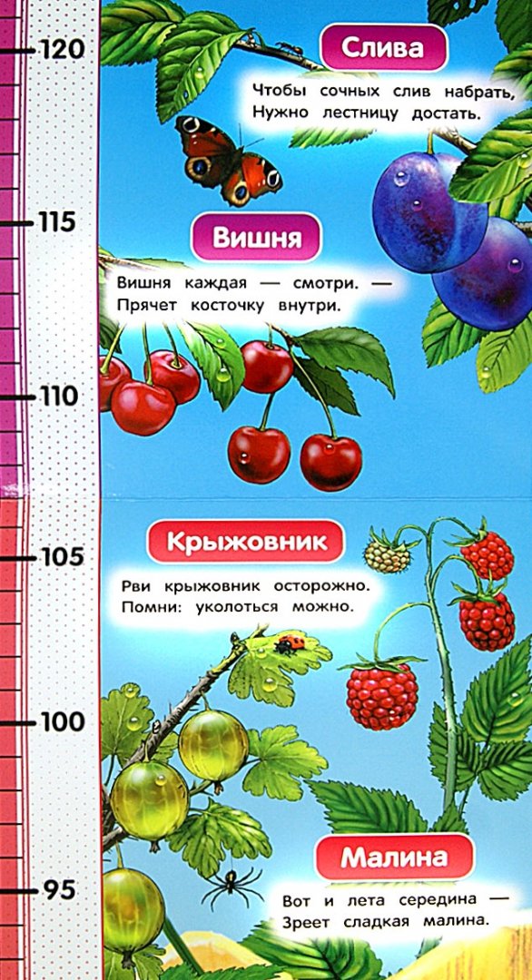 Иллюстрация 1 из 8 для Овощи и фрукты - Софья Буланова | Лабиринт - игрушки. Источник: Лабиринт