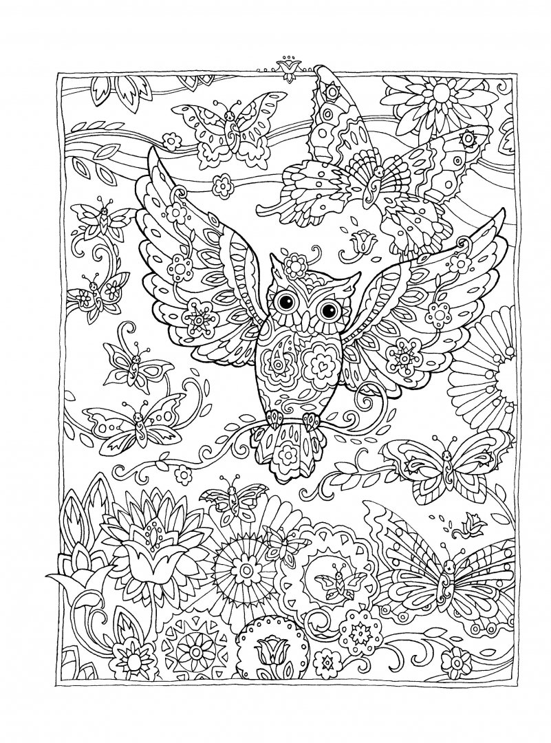 Иллюстрация 6 из 45 для Совушки - Marjorie Sarnat | Лабиринт - книги. Источник: Лабиринт