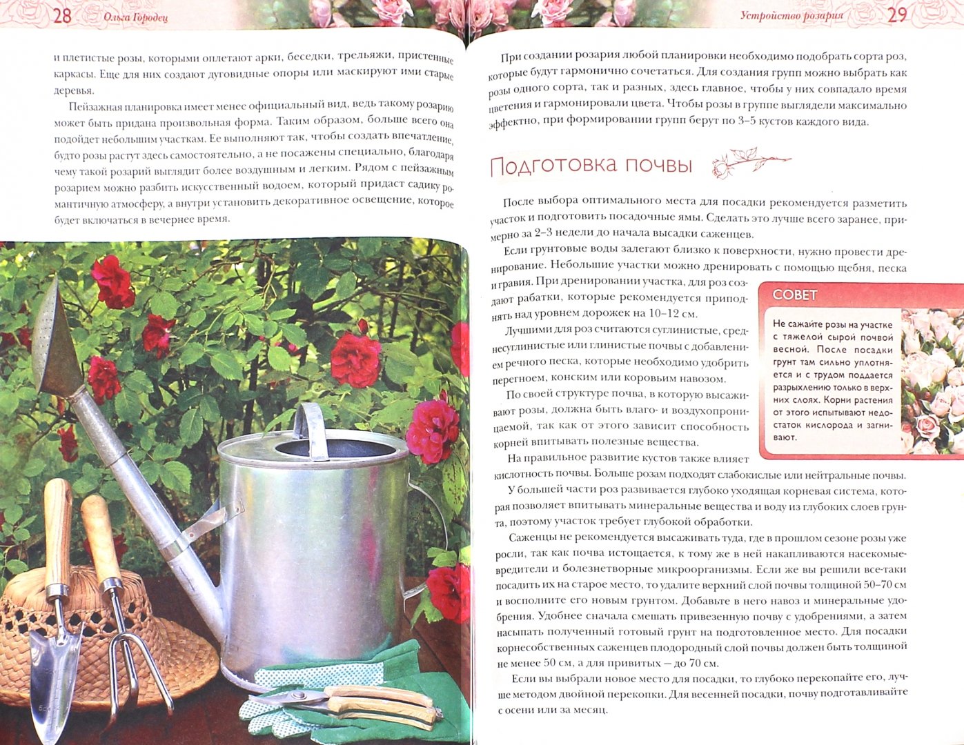 Иллюстрация 1 из 5 для Роскошные розы для вашего сада - Ольга Городец | Лабиринт - книги. Источник: Лабиринт