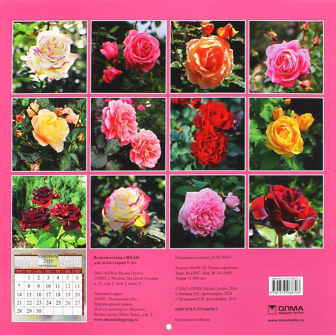 Иллюстрация 1 из 4 для Календарь 2015. Розы (12 листов) | Лабиринт - сувениры. Источник: Лабиринт