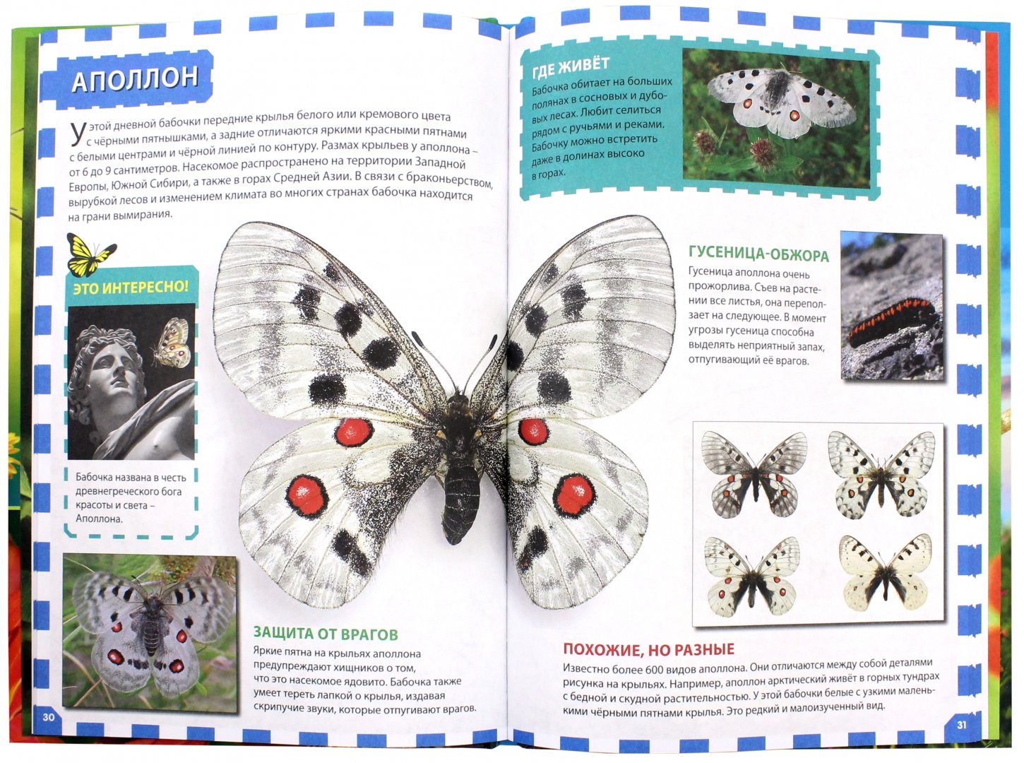 Иллюстрация 1 из 38 для Бабочки | Лабиринт - книги. Источник: Лабиринт