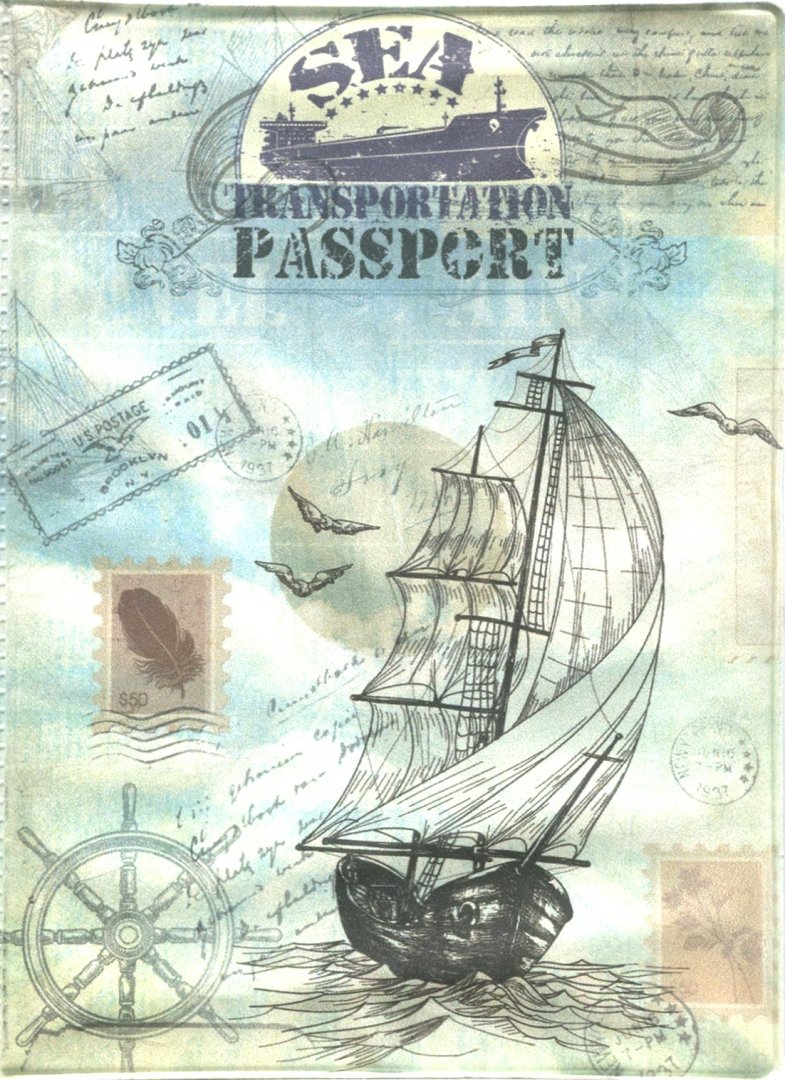 Иллюстрация 1 из 12 для Обложка для паспорта (32402) | Лабиринт - канцтовы. Источник: Лабиринт