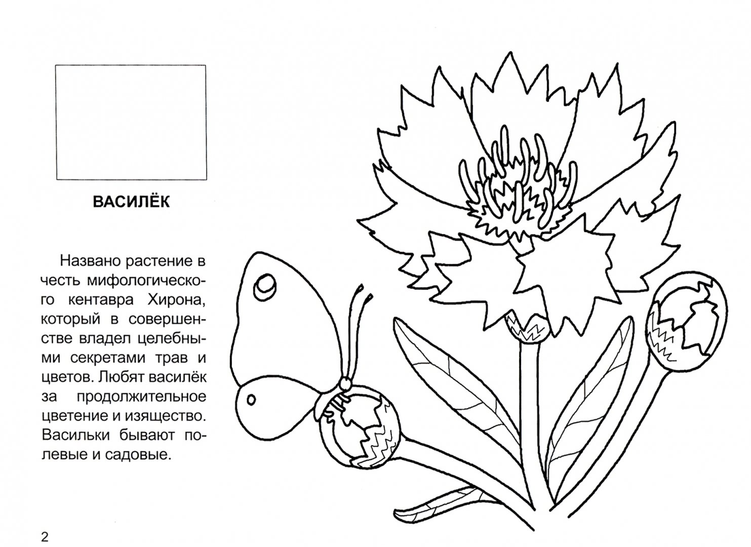 Иллюстрация 1 из 20 для Мир цветов | Лабиринт - книги. Источник: Лабиринт