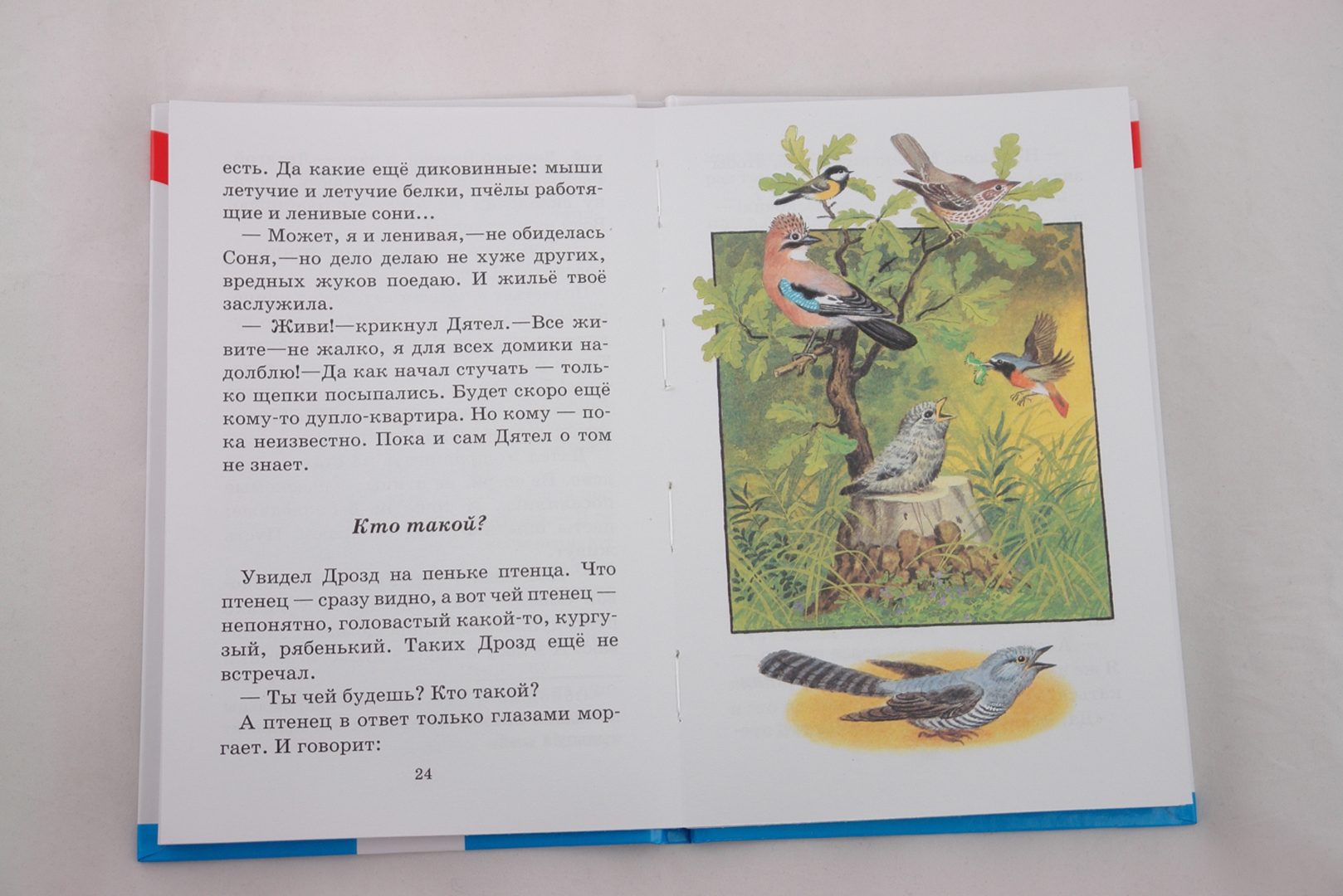 Иллюстрация 1 из 25 для Тайна ночного леса - Виталий Бианки | Лабиринт - книги. Источник: Лабиринт