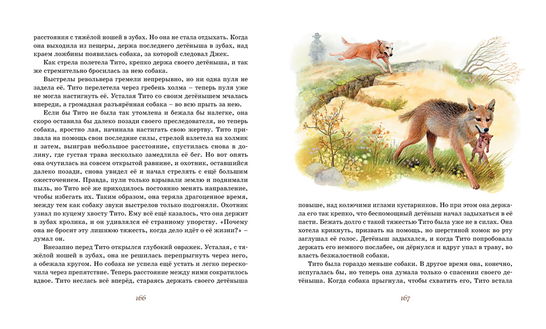 Иллюстрация 3 из 28 для Рассказы о животных - Эрнест Сетон-Томпсон | Лабиринт - книги. Источник: Лабиринт