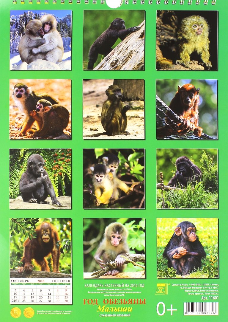 Год обезьяны календари. Календарь с обезьяной. Календарь 2016 год обезьяны. Календарь с обезьянкой 2004. Календарь настенный 2004 года с обезьяной.