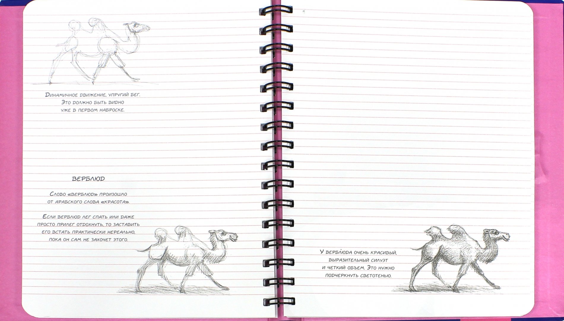 Иллюстрация 1 из 29 для Животные. Sketchbook (синий) - Н. Савельева | Лабиринт - канцтовы. Источник: Лабиринт