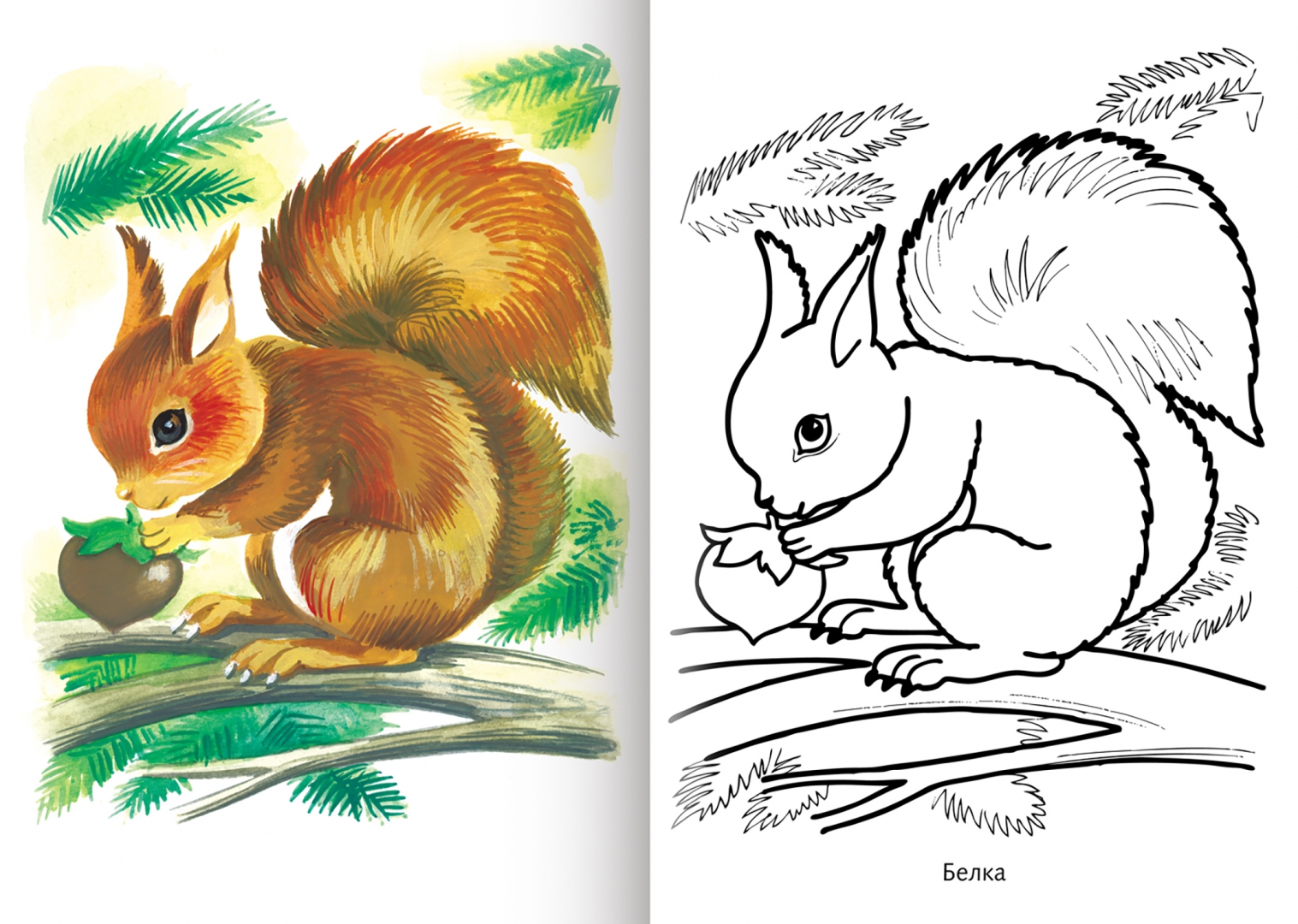 Иллюстрация 1 из 19 для Первые уроки. Дикие животные | Лабиринт - книги. Источник: Лабиринт