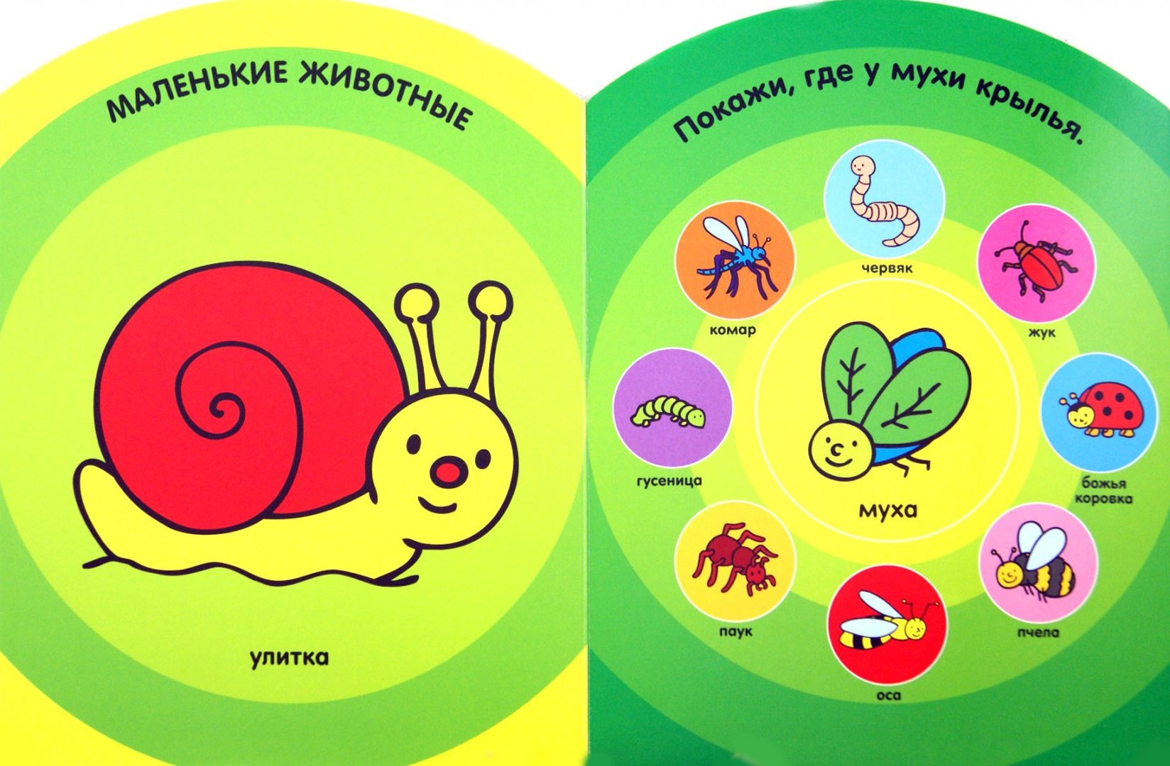 Иллюстрация 1 из 14 для Животные. Мой первый словарик. 1-2 года | Лабиринт - книги. Источник: Лабиринт