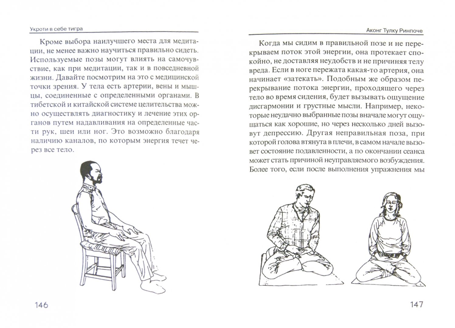 Иллюстрация 1 из 9 для Укроти в себе тигра. Тибетское учение о совершенствовании повседневной жизни - Аконг Ринпоче | Лабиринт - книги. Источник: Лабиринт