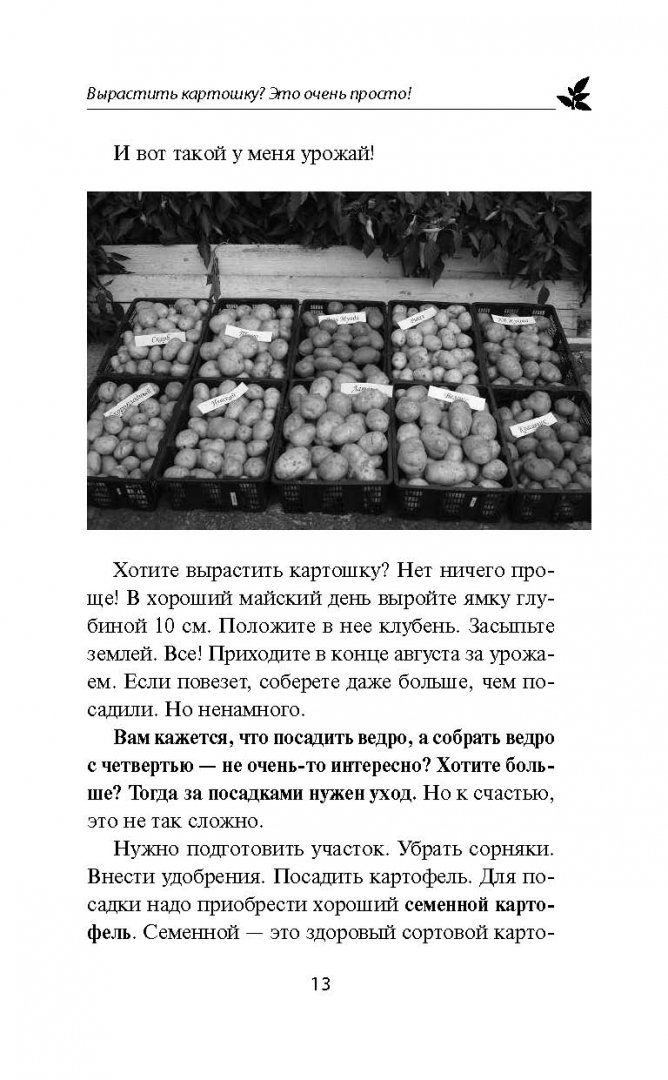 Иллюстрация 11 из 17 для Грядка для отличного урожая. Картофель без химии и хлопот, на любой почве - Игорь Лядов | Лабиринт - книги. Источник: Лабиринт