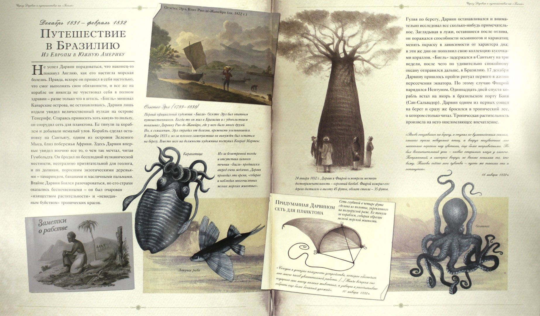 Иллюстрация 6 из 54 для Чарлз Дарвин и путешествие на "Бигле" - Твист, Вуд | Лабиринт - книги. Источник: Лабиринт