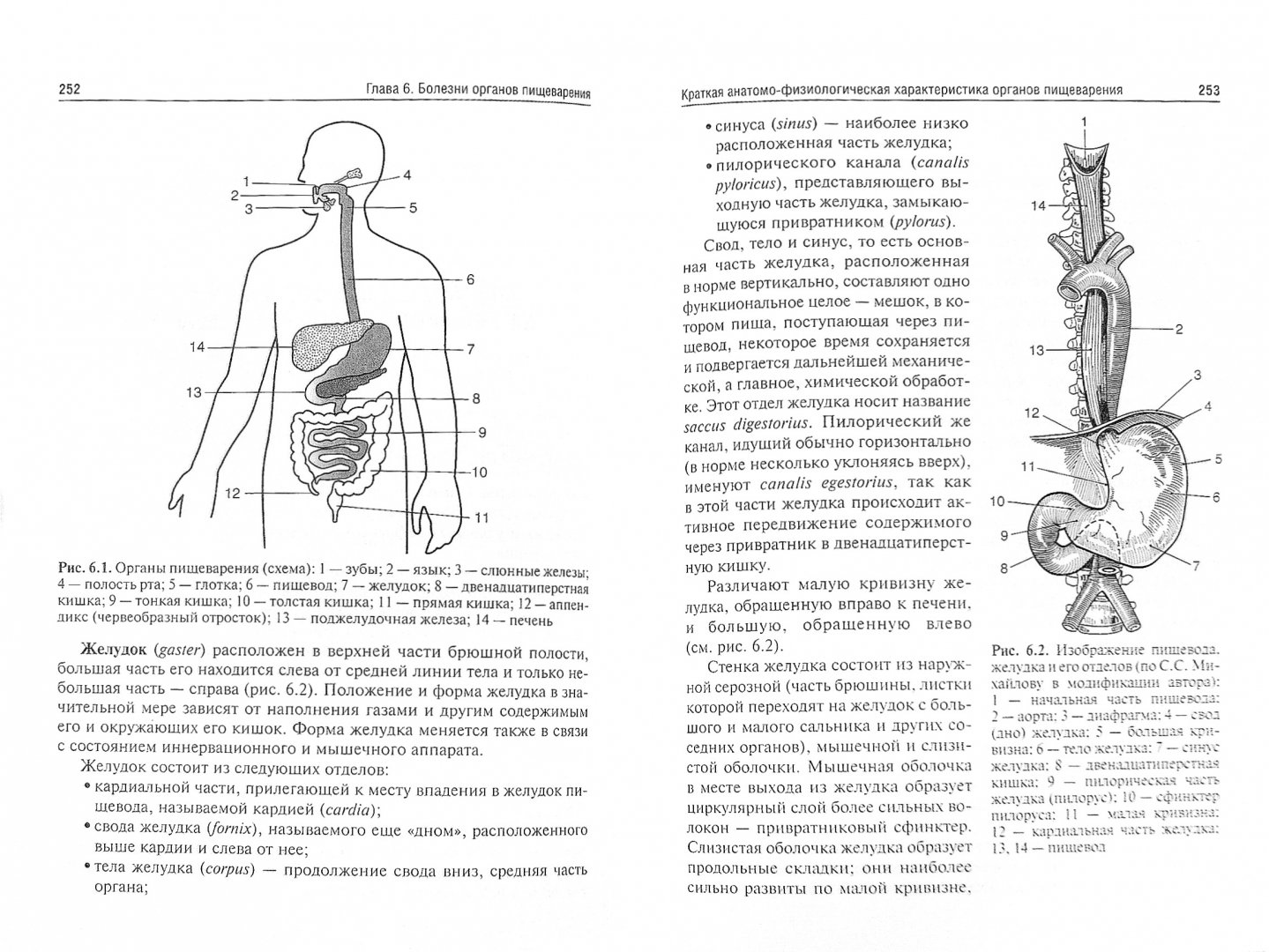 Иллюстрация 1 из 6 для Пропедевтика внутренних болезней с элементами лучевой диагностики. Учебник - Ибрагим Шамов | Лабиринт - книги. Источник: Лабиринт