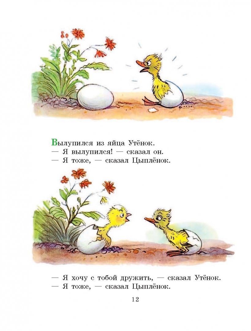 Иллюстрация 13 из 51 для Сказки и картинки - Владимир Сутеев | Лабиринт - книги. Источник: Лабиринт