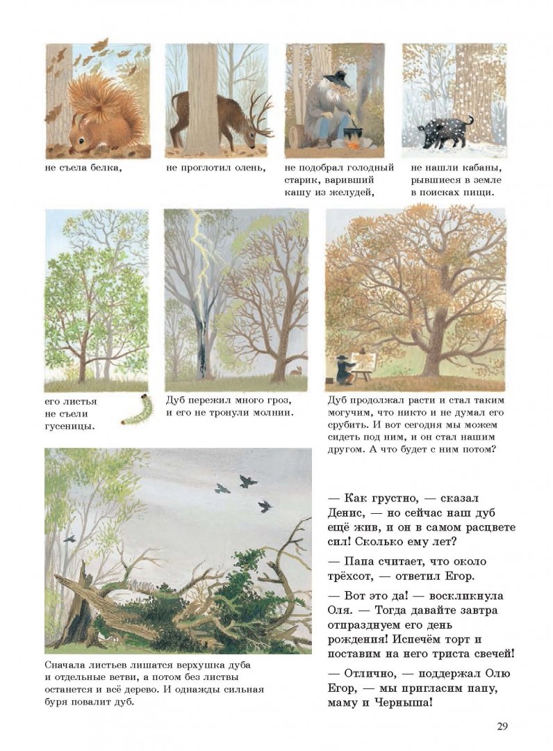 Иллюстрация 25 из 26 для Наше дерево (иллюстрации Герды Мюллер) - Герда Мюллер | Лабиринт - книги. Источник: Лабиринт