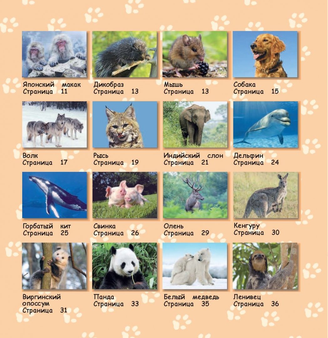Иллюстрация 5 из 44 для Большая энциклопедия животных | Лабиринт - книги. Источник: Лабиринт