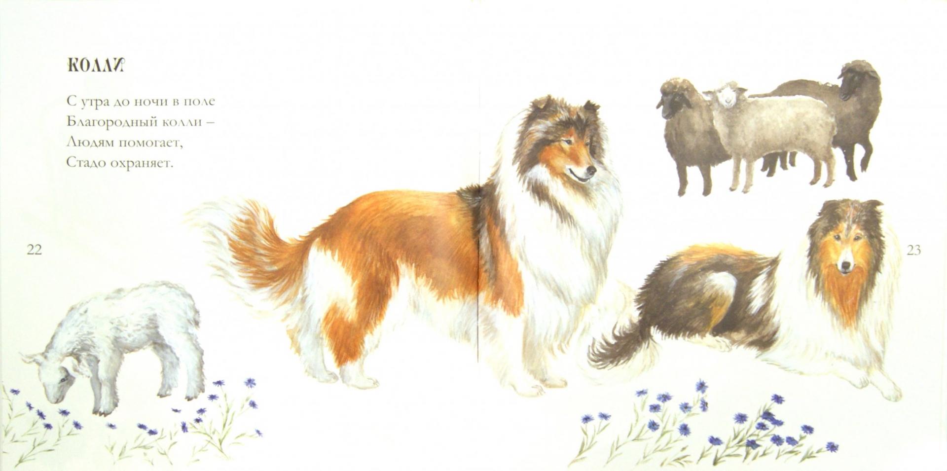 Иллюстрация 1 из 22 для Собачьи мечты - Игорь Карде | Лабиринт - книги. Источник: Лабиринт